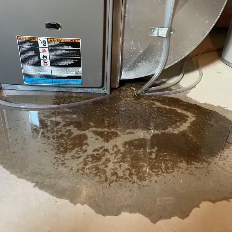 Appliance Leak Cleanup in Willow Springs, IL